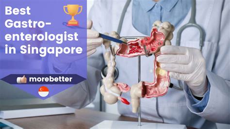 the best gastroenterologist in singapore|7 Best Gastroenterologists In Singapore (2024) .